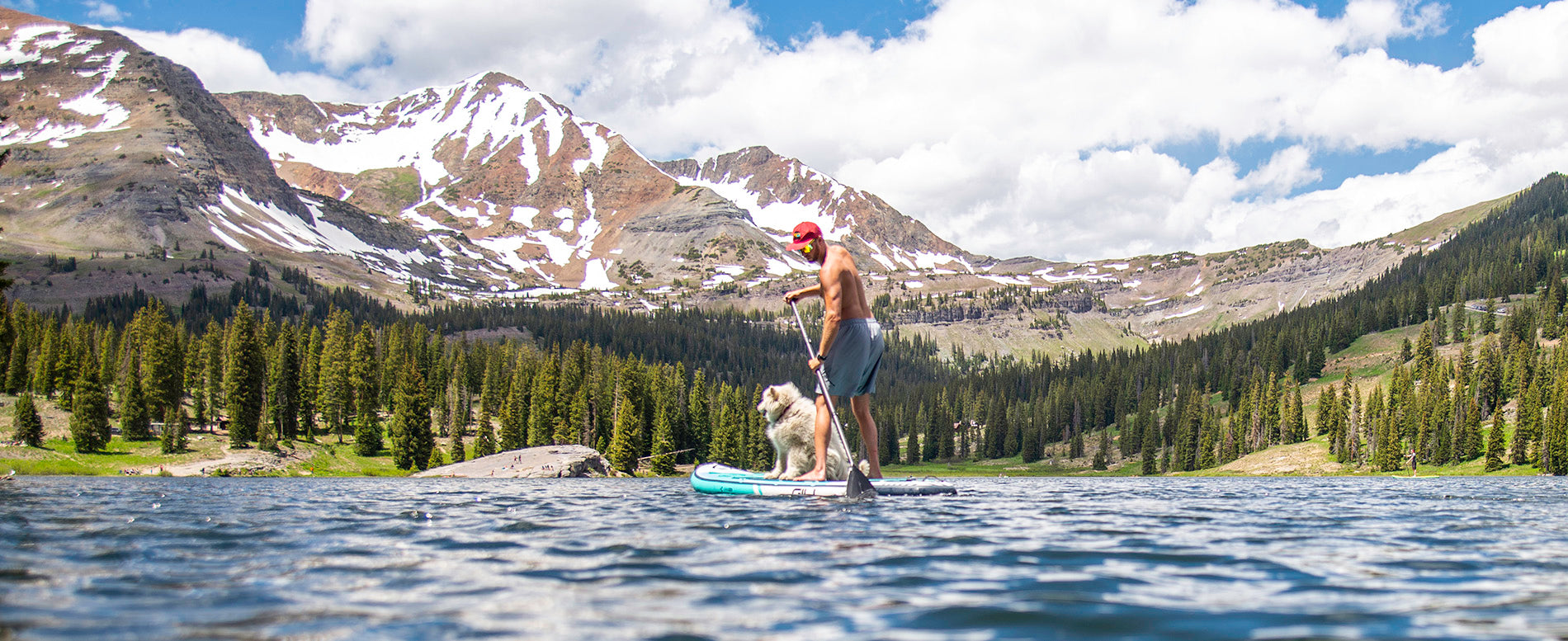 The Best Paddle Boards for Dogs (2024)
