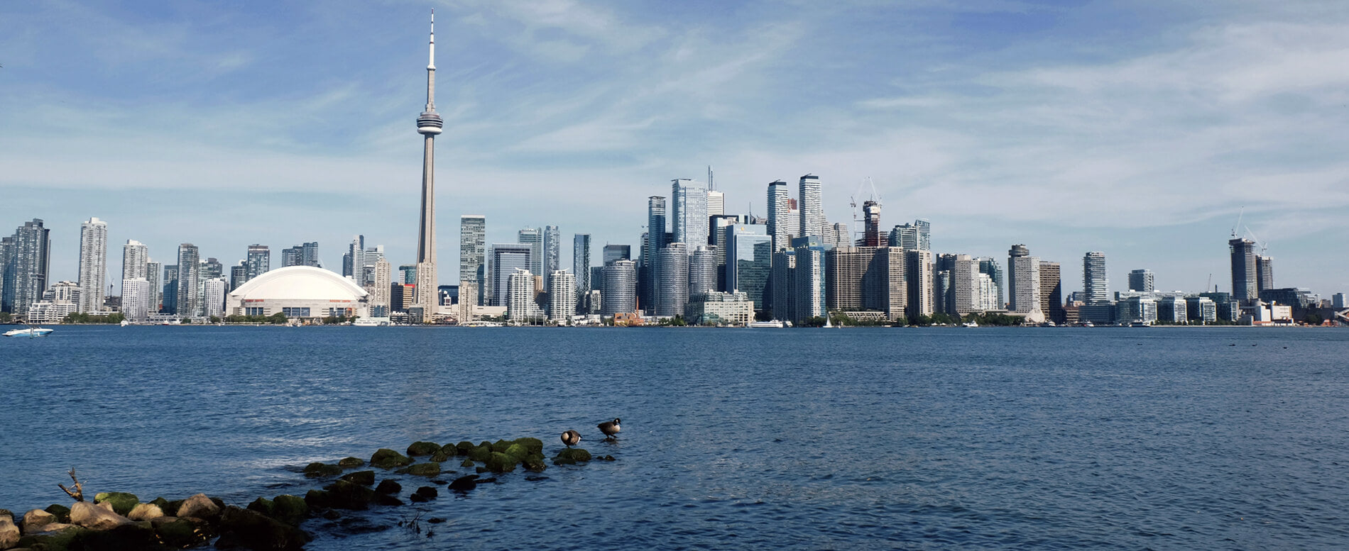 View of Toronto skyline