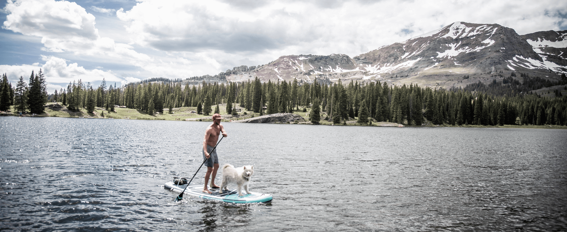How to Paddle Board with Your Dog