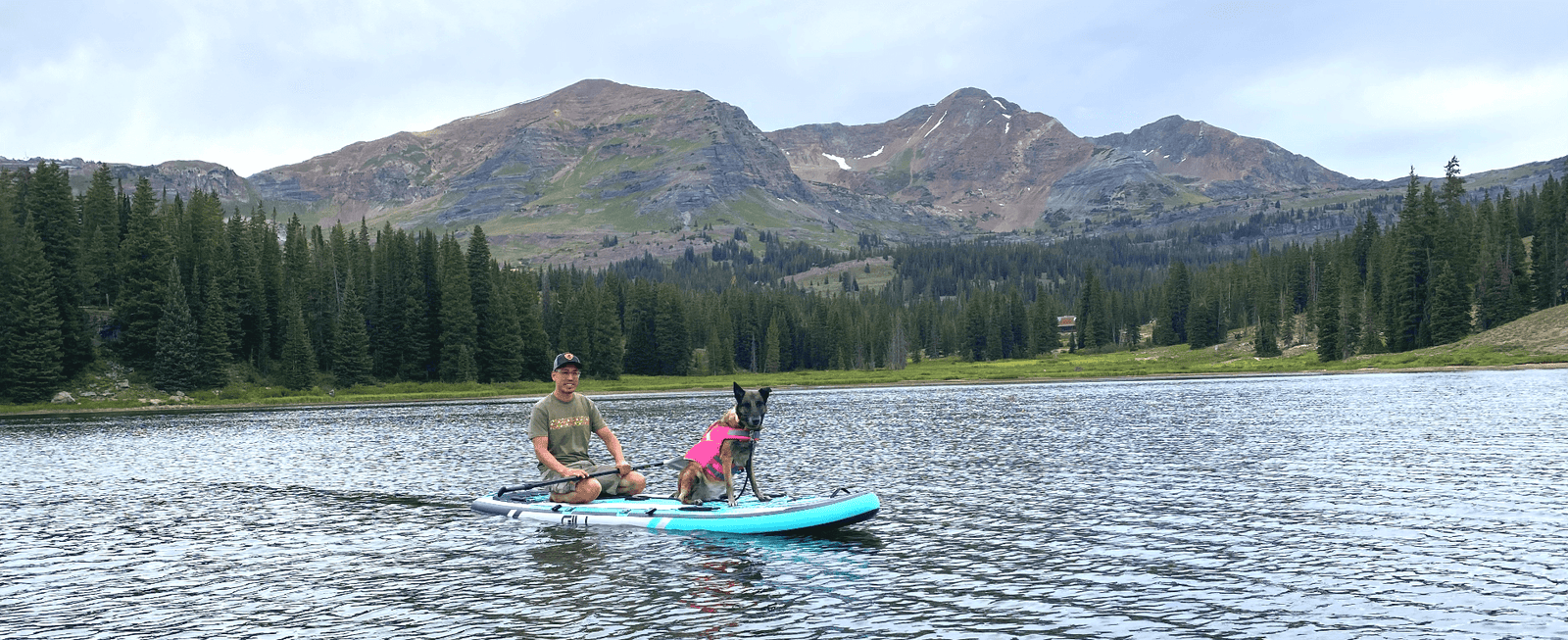 The Best Dog Life Jackets for 2024