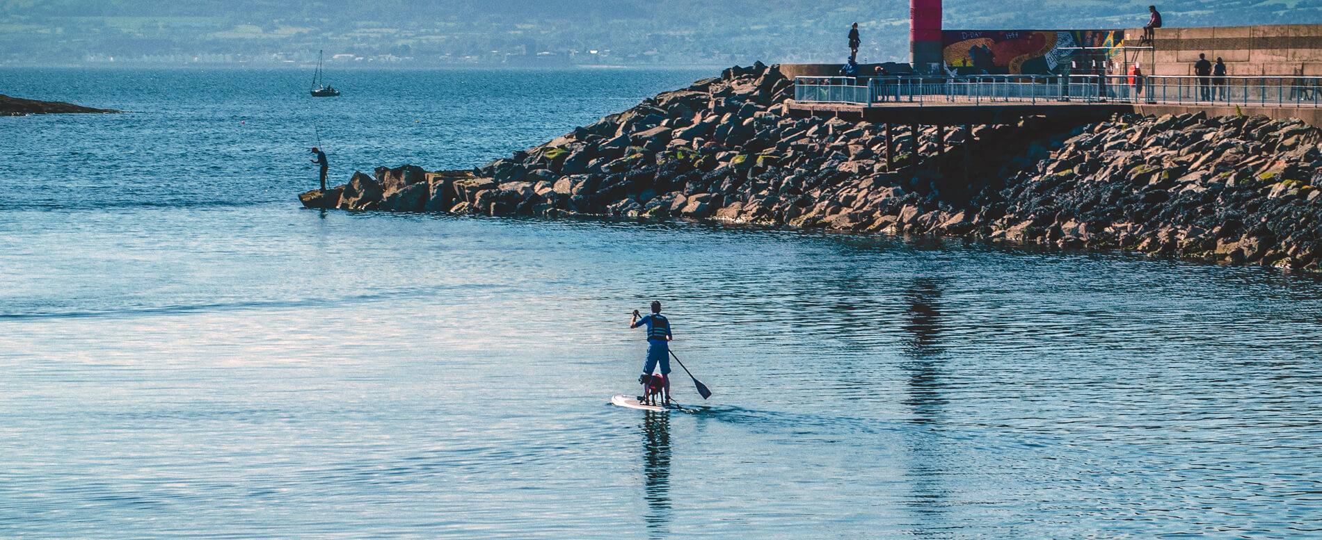 Man paddle boarding with his dog on ireland waters