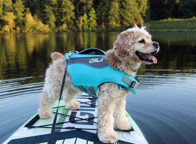 GILI dog life jacket in Blue